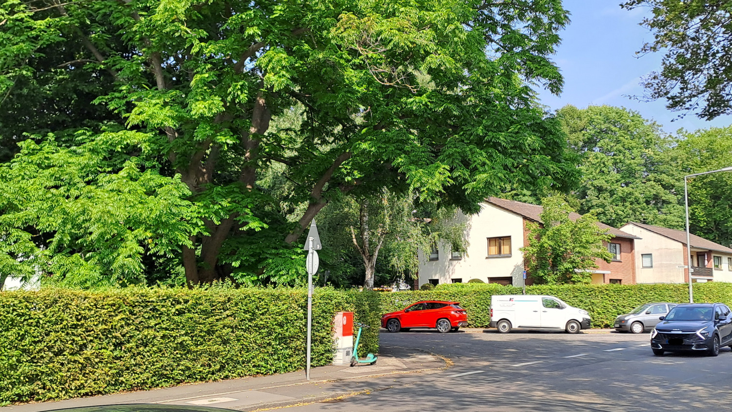 Weiden Cologne
